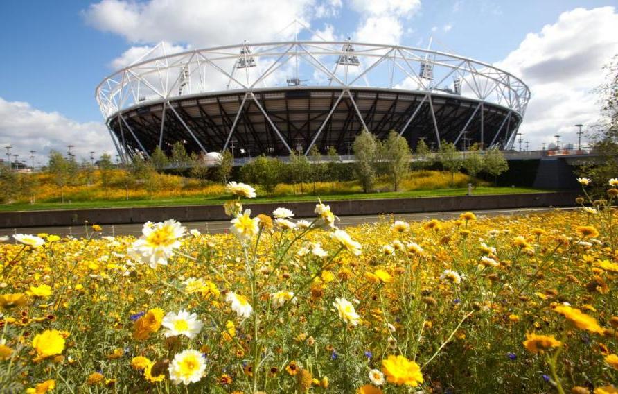 London Olympic Games stadium